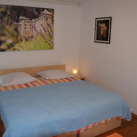 Rooms Ribnikar Postojna Exterior photo