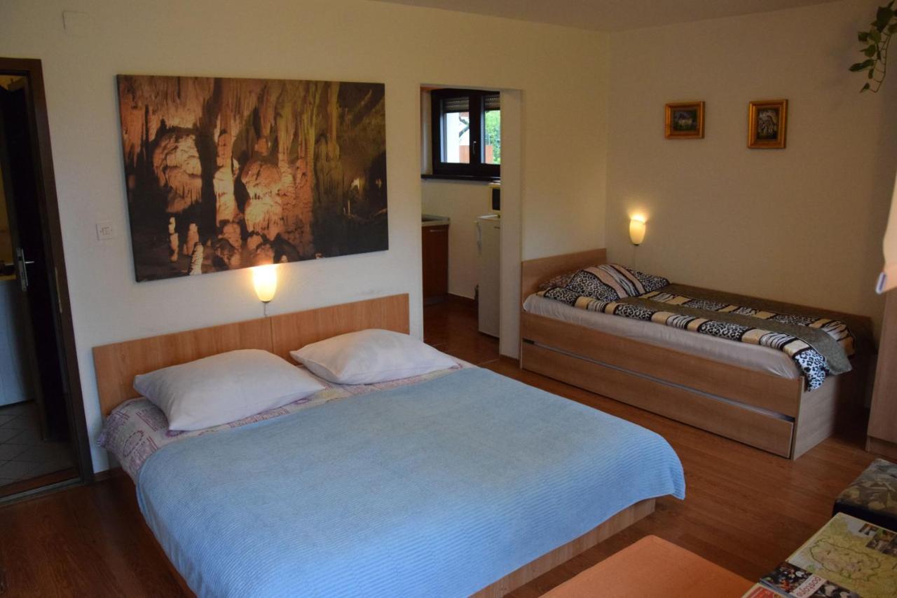 Rooms Ribnikar Postojna Exterior photo