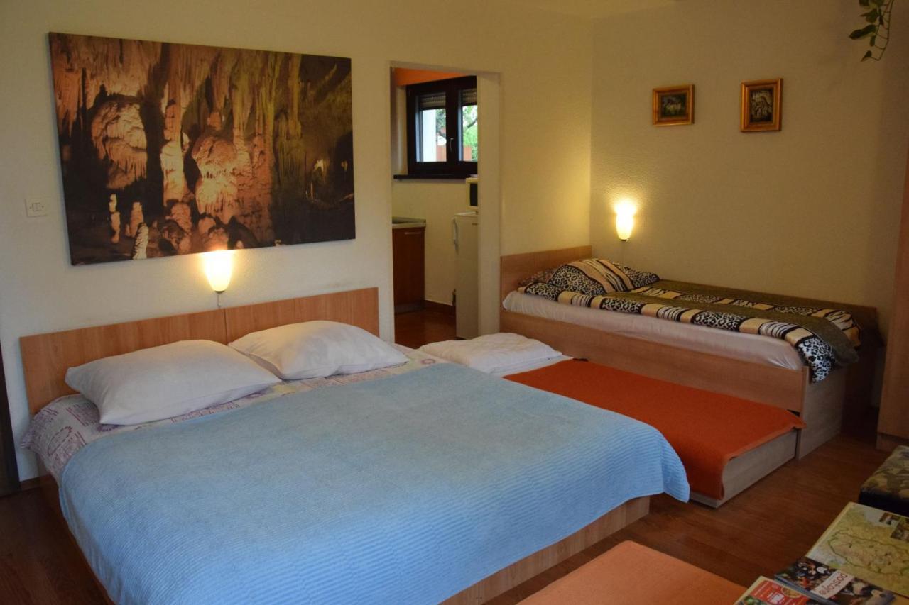 Rooms Ribnikar Postojna Exterior photo